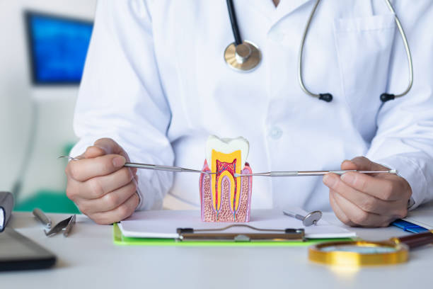 Best Emergency Tooth Extraction  in Vinton, LA